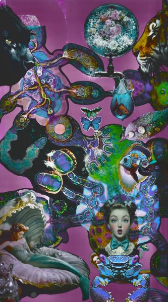 Rivaler av Main Liz Vogt